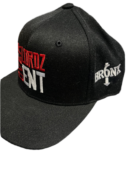 OVERLORDZ BR6NX LID